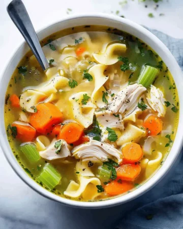 CHICKEN NOODLE SOUP